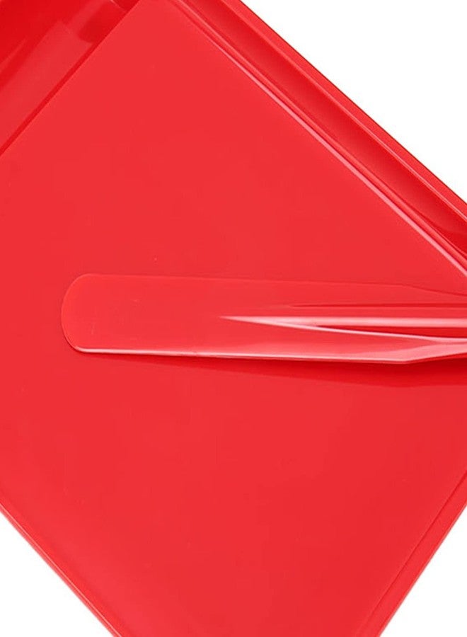 ZJchao Counting Tray, Right Hand Counter with Spatula Pills Dispenser Tray Home Plastic Capsule Dispensing Tray Counter Pharmacy Counting Tray for People to Count Pills Tablets - Image 5